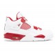 Air Jordan 4 Retro Alternate 89